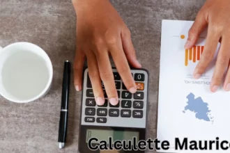a person using a calculator